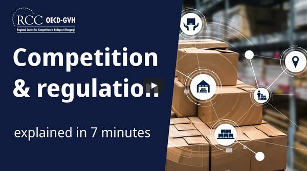 Regulation kép
